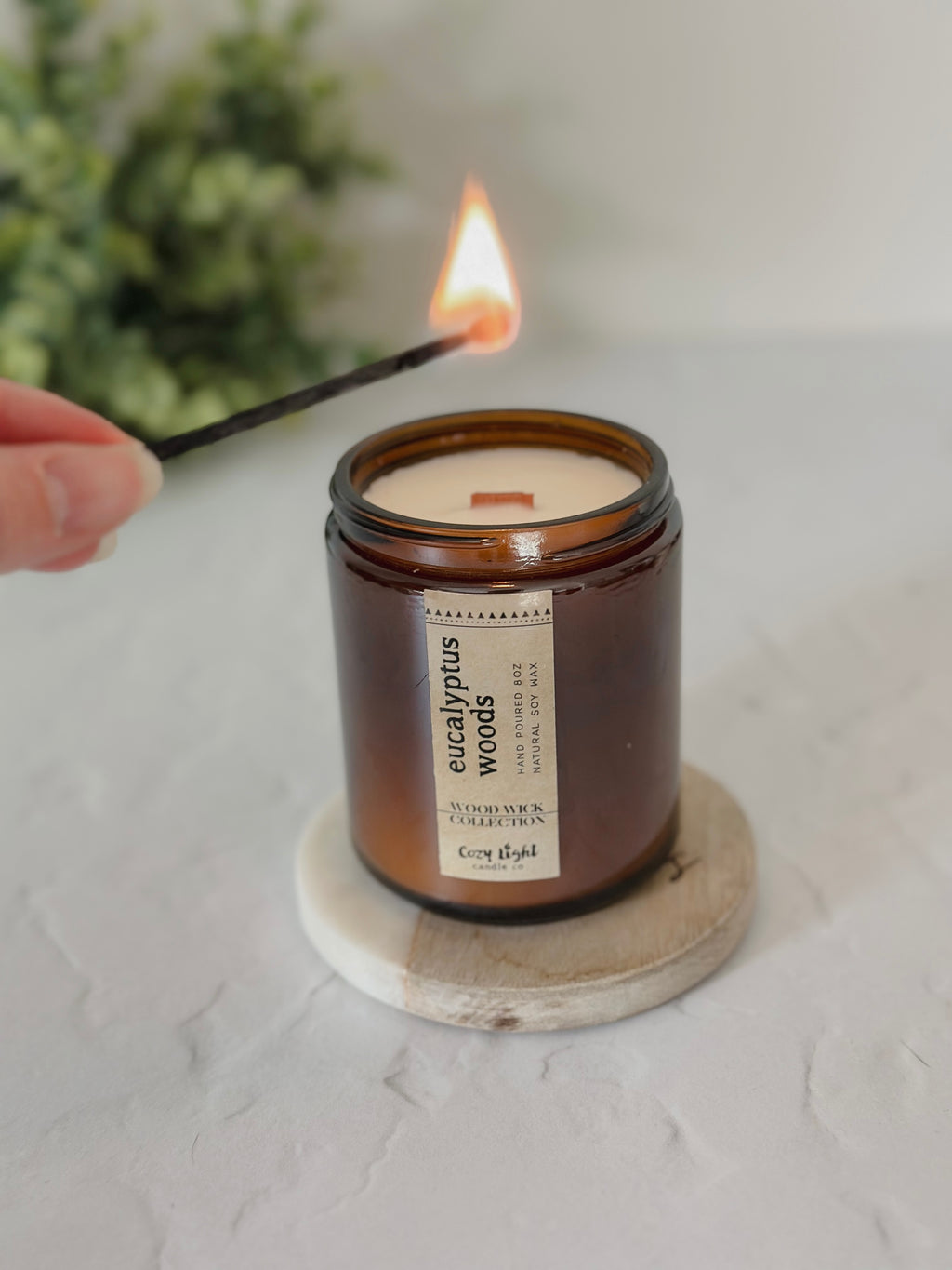 EUCALYPTUS WOODS Wood Wick Candle
